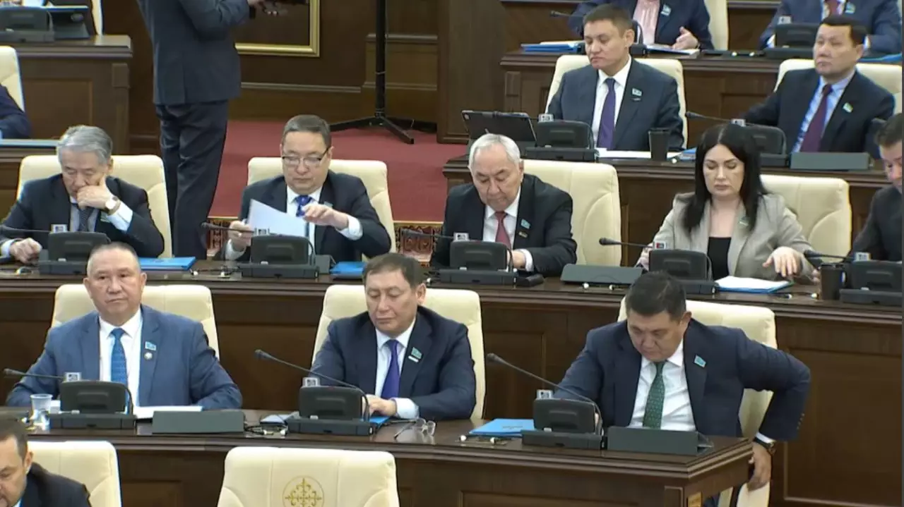 Депутаттар жаңа Конституция жобасындағы тілге қатысты сауалдарға жауап берді