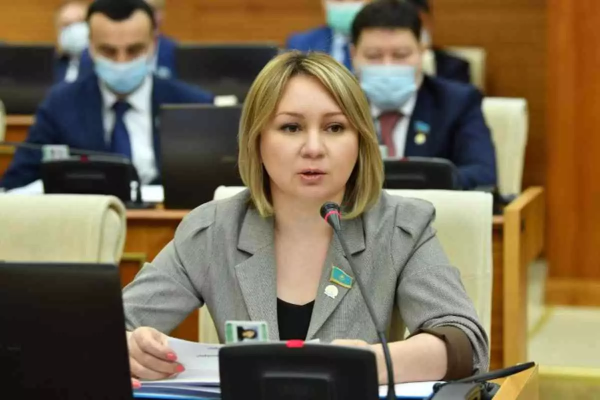 "Қазақша нұсқасын қараңыз": Депутат жаңа Конституция жобасында тегін медицина мен білім "жоғалып" кеткеніне қатысты жауап берді