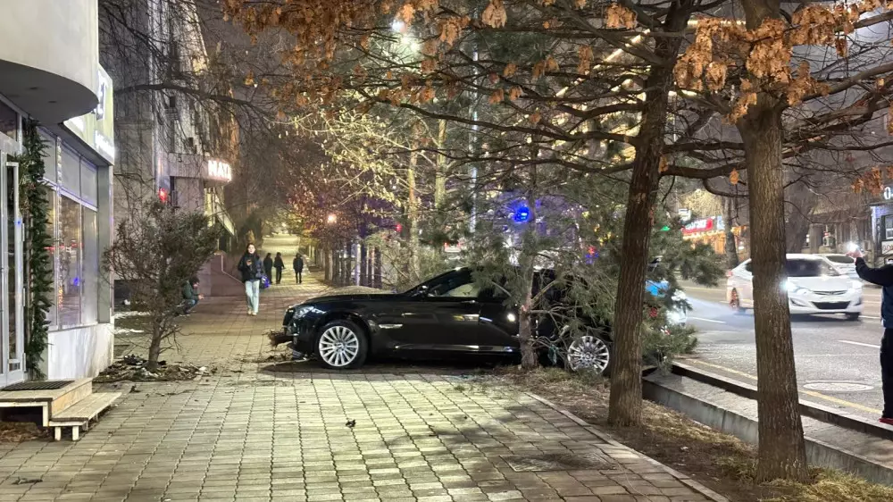 В центре Алматы BMW вылетел на обочину и снес деревья