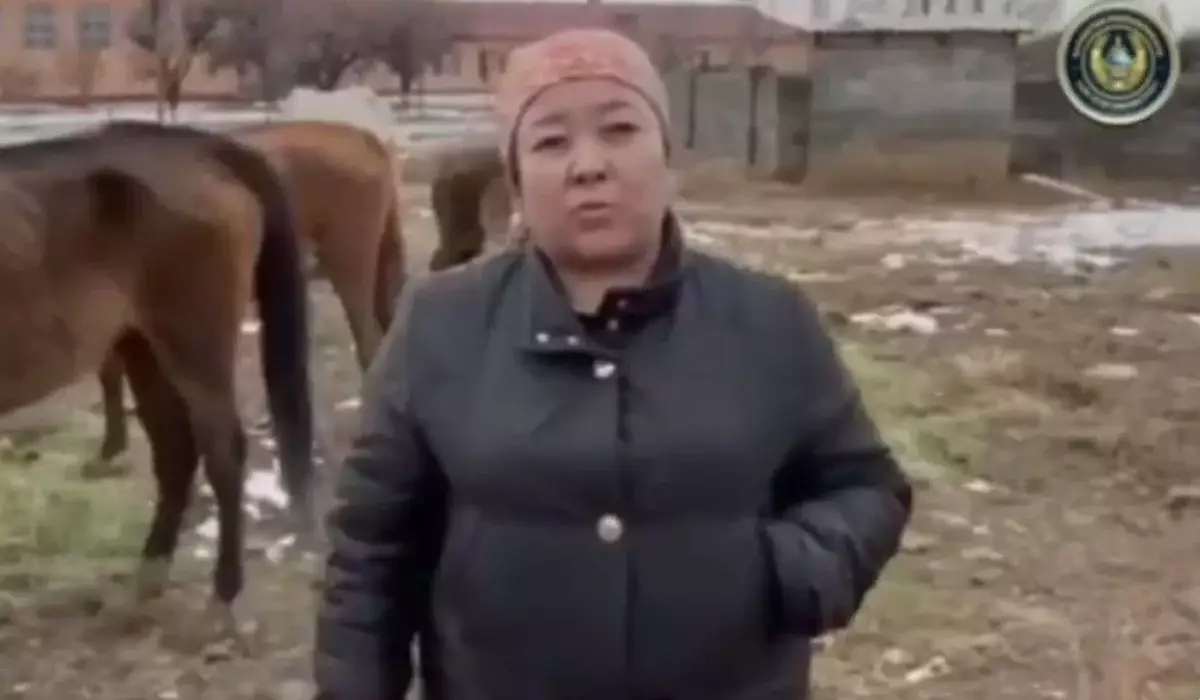 Түркістанда 21 жылқысынан көз жазып қалған әйел полицияны ыңғайсыз жағдайға қалдырды (ВИДЕО)