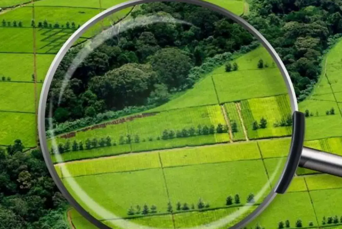 В Казахстане раскрывают земельные махинации с участием фамилии Назарбаева - новости на Lada.kz 04.02.2026