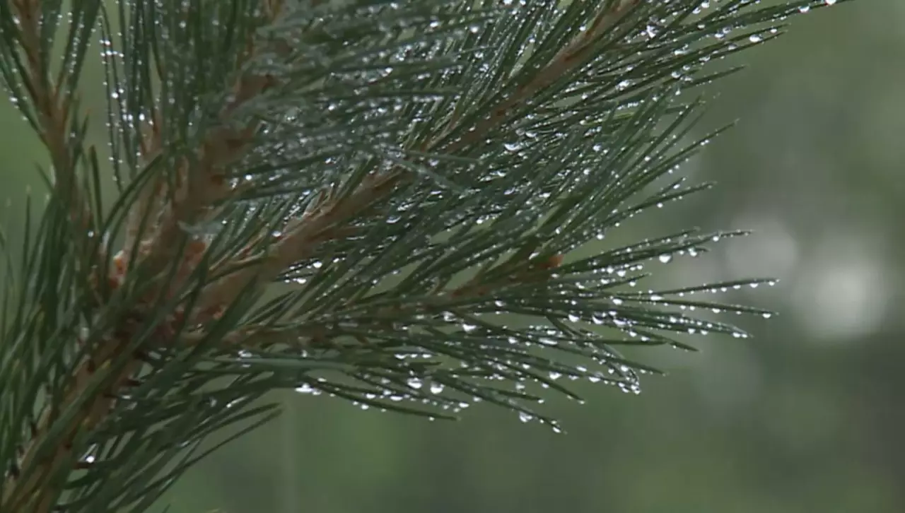 5 ақпанда Қазақстан мегаполистерінде ауа райы қандай болады?