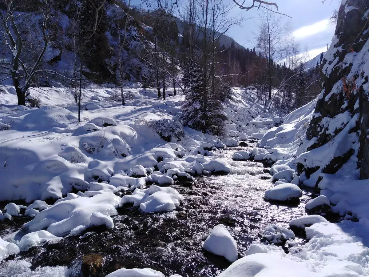 Погода в Алматы с 9 по 15 февраля 2026