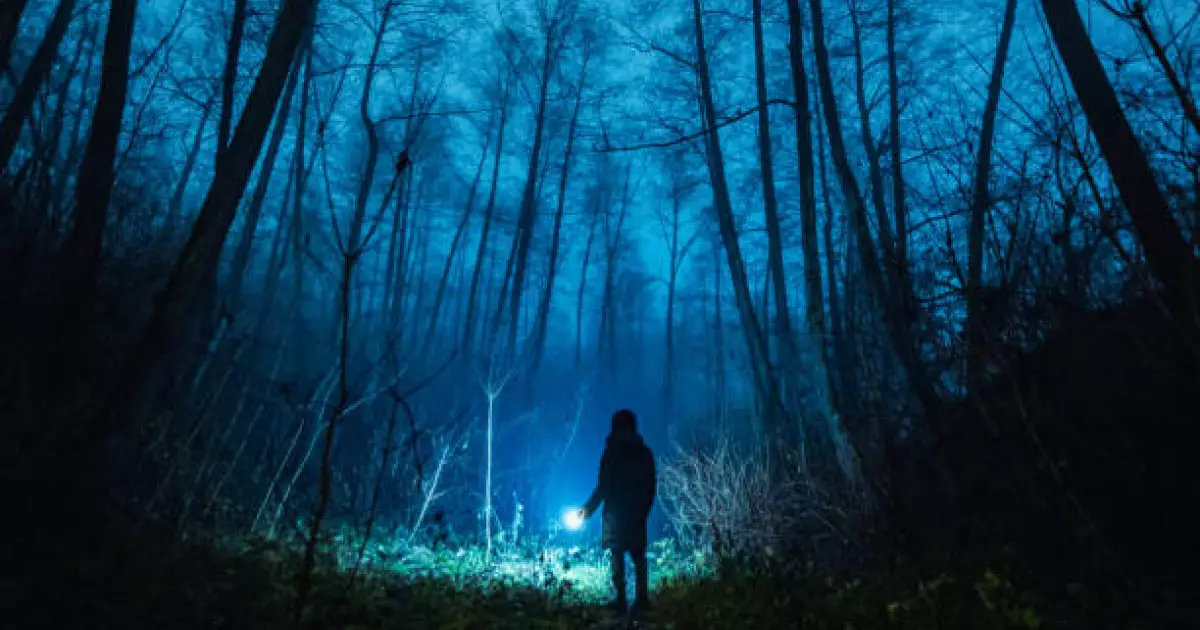  Петропавлда жоғалып кеткен 18 жастағы жігіттің денесі орманнан табылды 