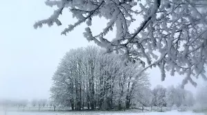 Қазгидромет бірнеше қаланың тұрғындарына ескерту жасады