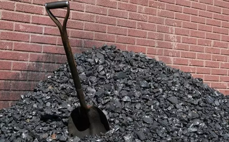 В четырех регионах Казахстана резко подорожал уголь