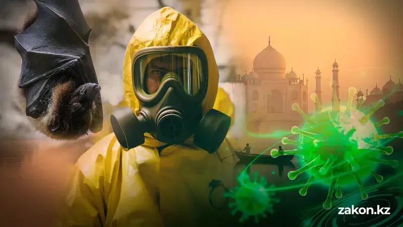 Нипах вирусын жұқтырмау үшін адам не істеу керек? – маман кеңесі