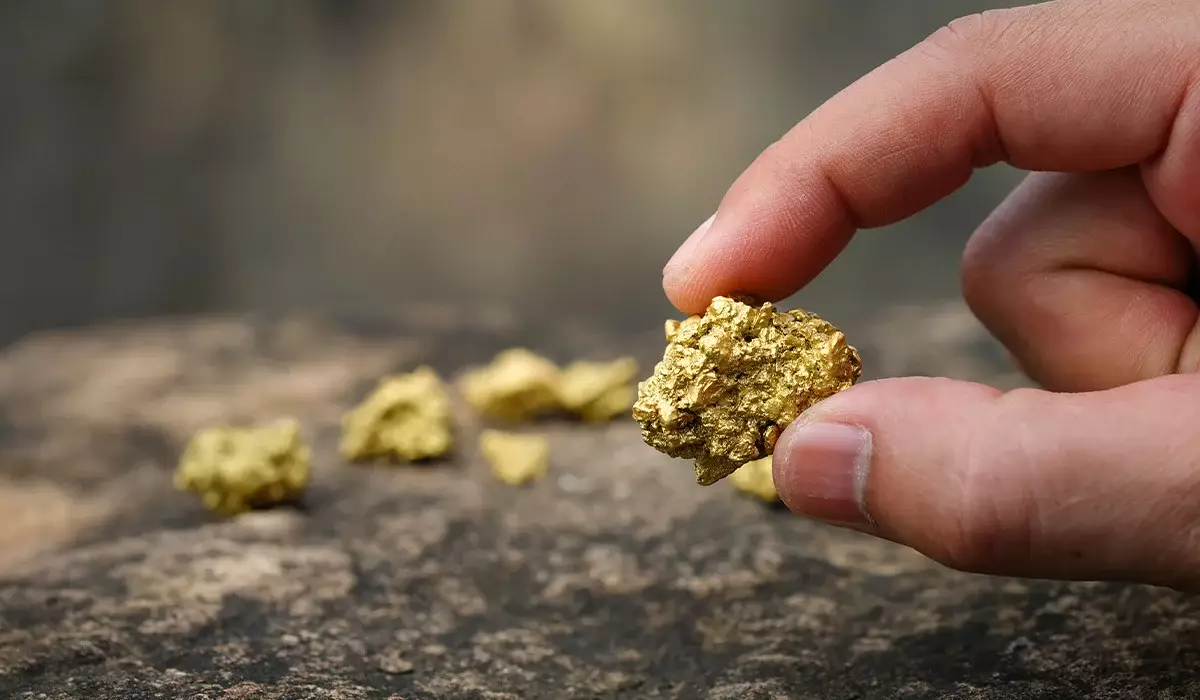 Добыли 451 грамм золота: пять человек поместили под домашний арест в Туркестанской области