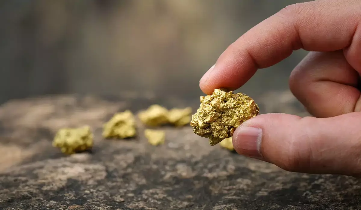 Түркістан облысында 451 грамм алтын қазып алған 5 адам үйқамаққа қамалды