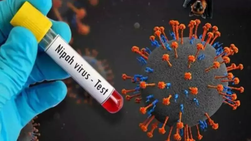 "Это не ковид": Минздрав обратился к гражданам Кыргызстана из-за вируса Нипах