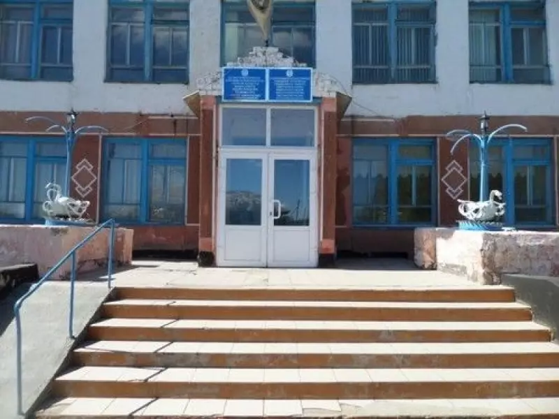 Старшеклассница хотела свести счеты с жизнью в школьном туалете в СКО