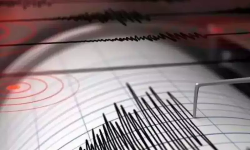 Землетрясение в Казахстане: толчки ощутили жители двух областей