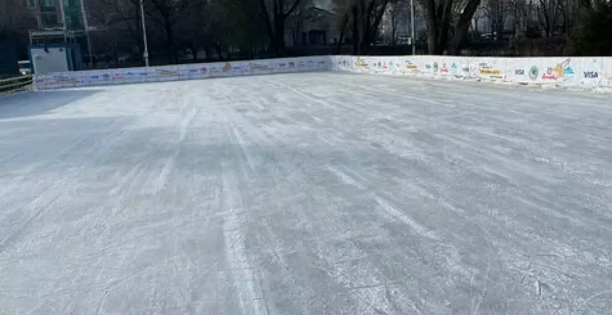 На городском катке обнаружили вмерзшую рыбу в Сарани (ВИДЕО)