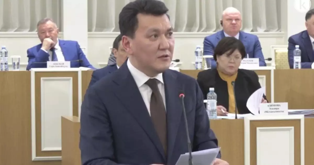  Қарин 1995 жылғы Конституциядағы қателерді тізді 