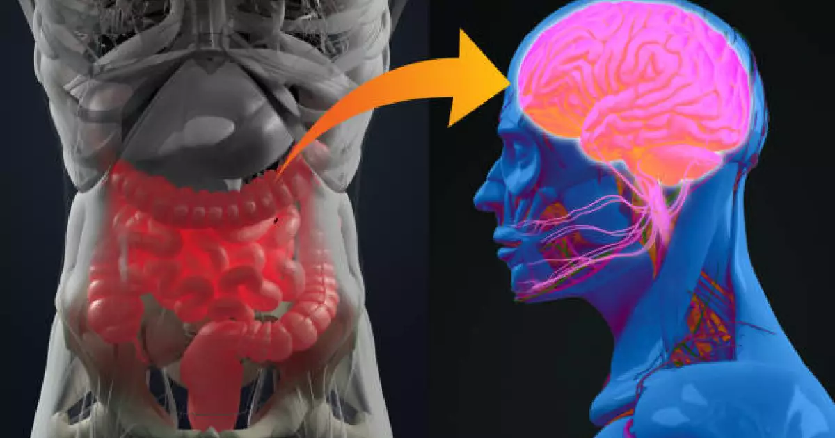  Ішек пен есте сақтау қабілетінің төмендеуі арасындағы байланыс бары анықталды 