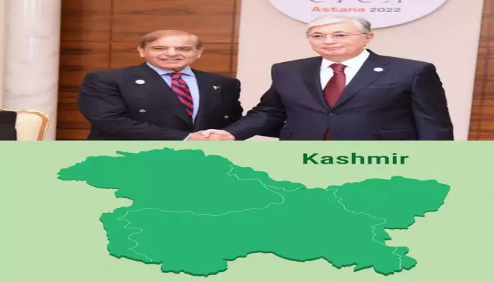 Пакистан и Казахстан призвали урегулировать кашмирский вопрос в соответствии с резолюциями ООН.