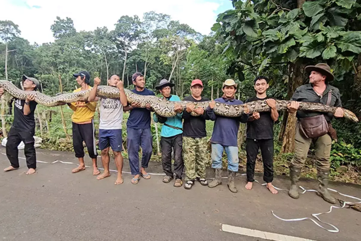 7,22 метра ужаса и величия: найдена самая длинная змея на планете - новости на Lada.kz 05.02.2026