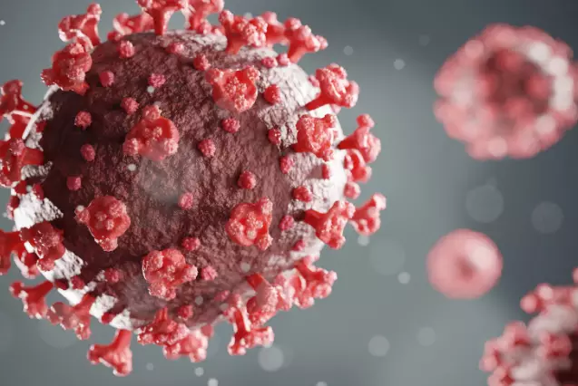 Ученые не нашли связи между вакцинацией от COVID-19 и бесплодием