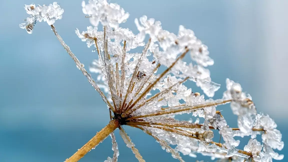 Синоптиктер ауа райына байланысты ескерту жасады