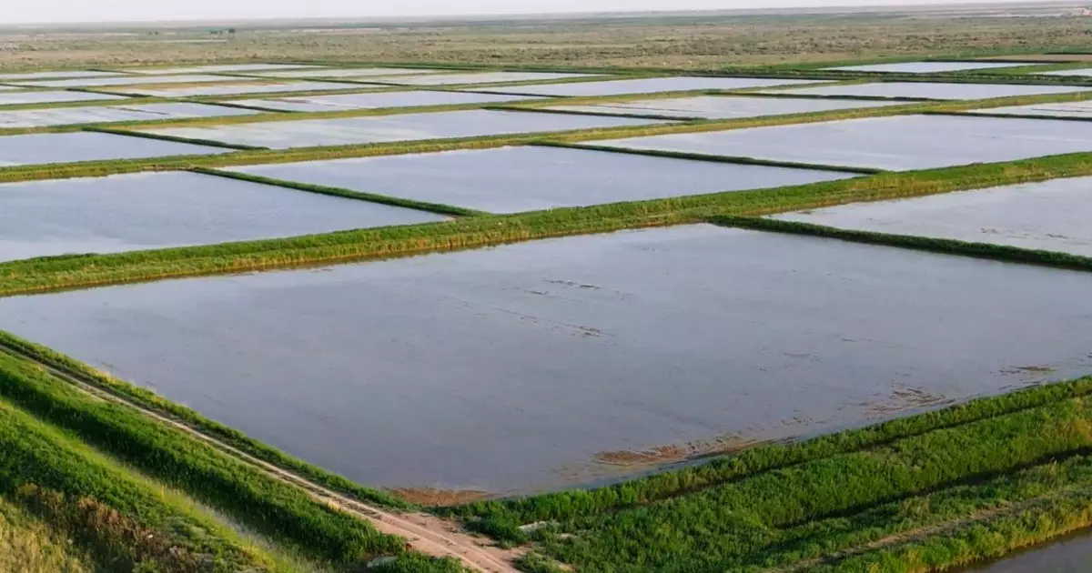   Елімізде көктемгі су тасқыны кезеңіне дайындық басталды   