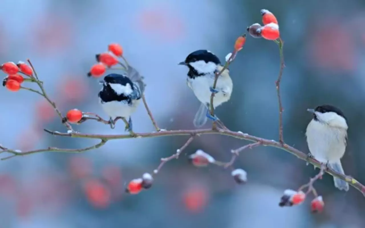 Казахстан оказался во власти активного циклона