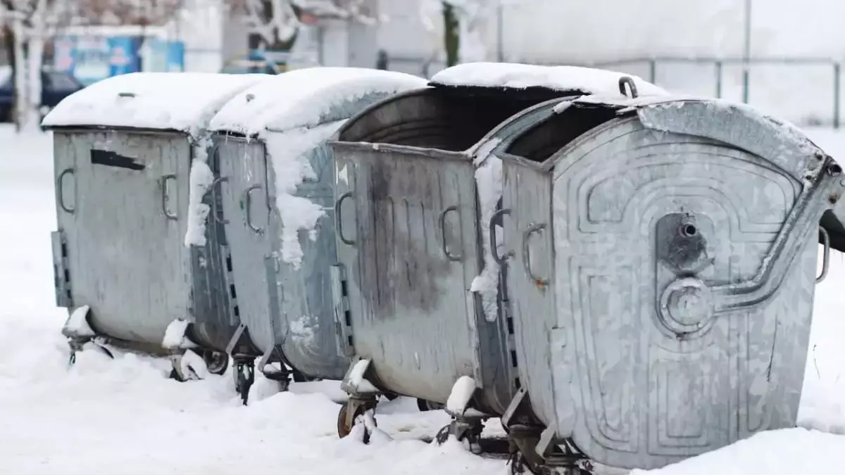 Семейде қоқыс жәшігінен жаңа туған сәбидің мәйіті табылды