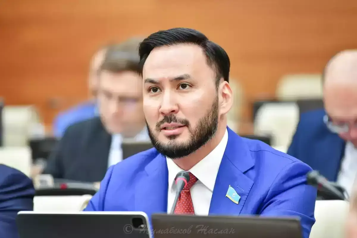 Respublica партиясының жетекшісі жаңа Конституцияның жобасын референдумға шығаруды ұсынды