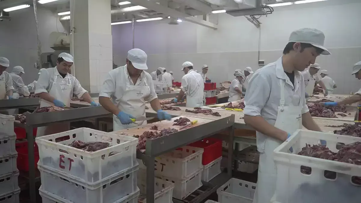 В Казахстане появился необычный продукт - новости на Lada.kz 06.02.2026