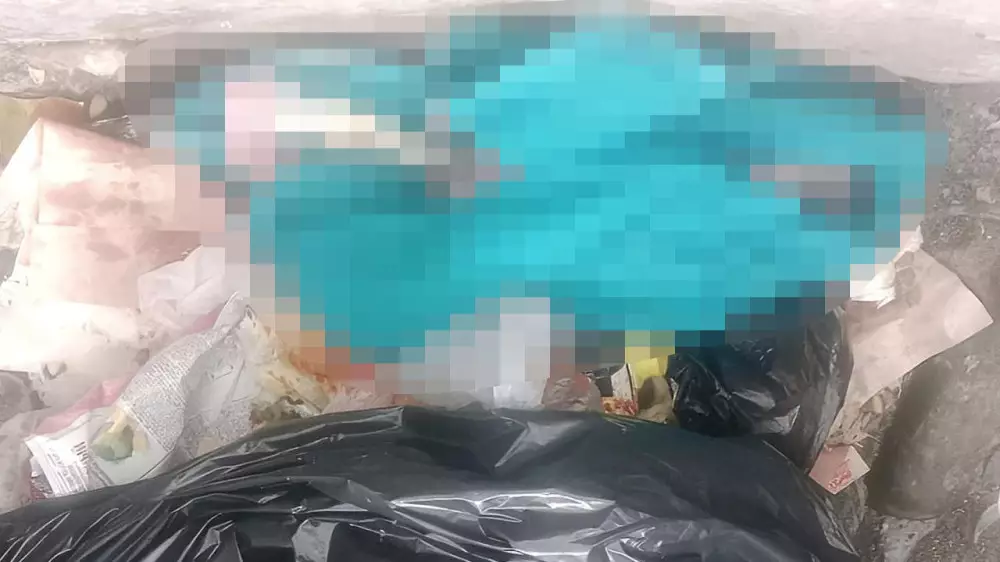 Семейде қоқыс жәшігінен жаңа туған нәресте табылды