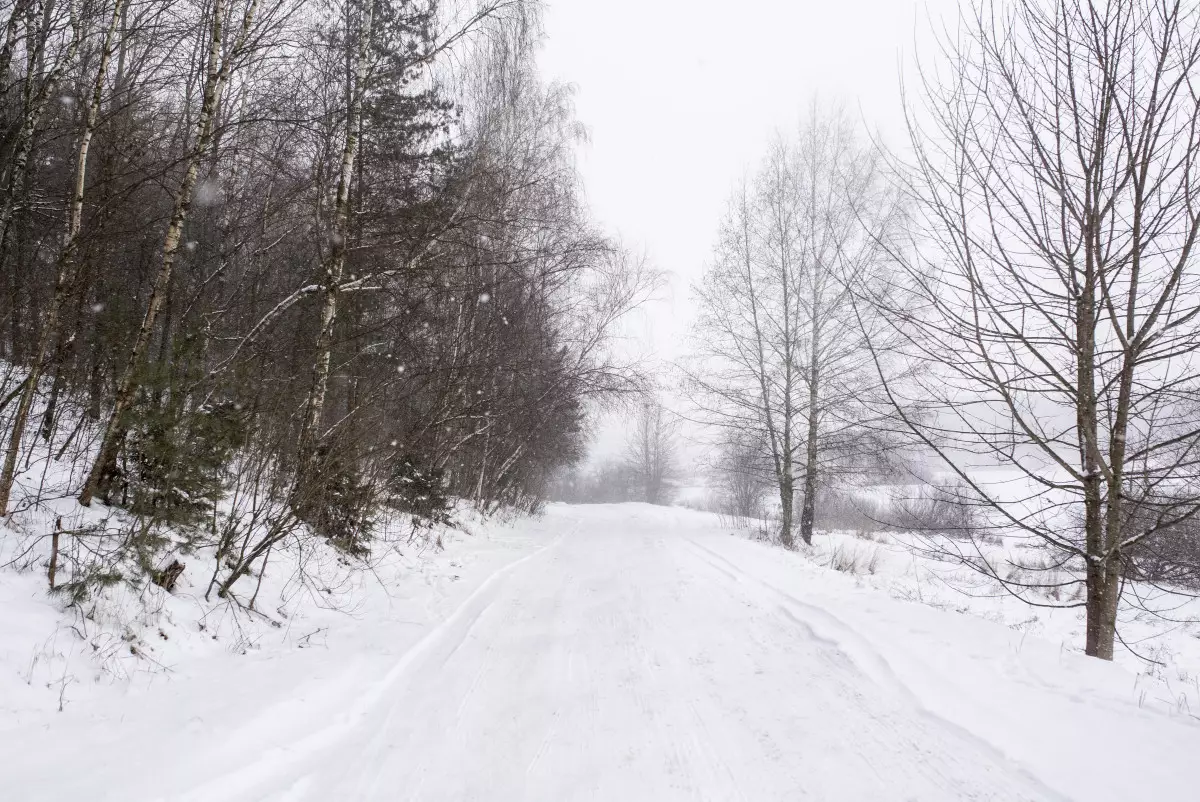 В Казахстане ожидаются снегопады, дожди и штормовой ветер