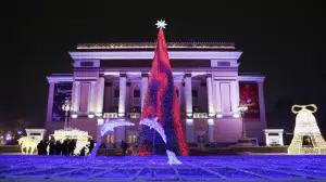 Алматыда жаңа жылдық шыршалар қашан жиналады?