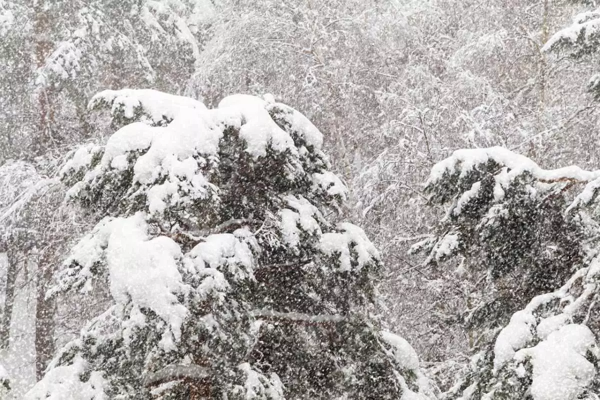 Снег и метель закрутят Астану