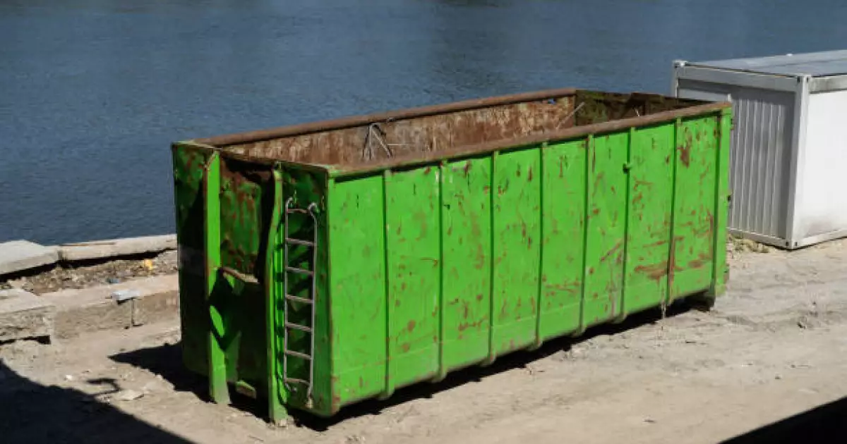   Қоқыс жәшігінен жаңа туған нәрестенің мәйіті табылды   