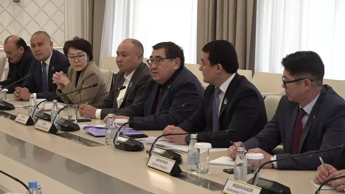 Конституциялық реформа: мәжіліс депутаттары Алматы қалалық қоғамдық кеңесінің мүшелерімен кездесті