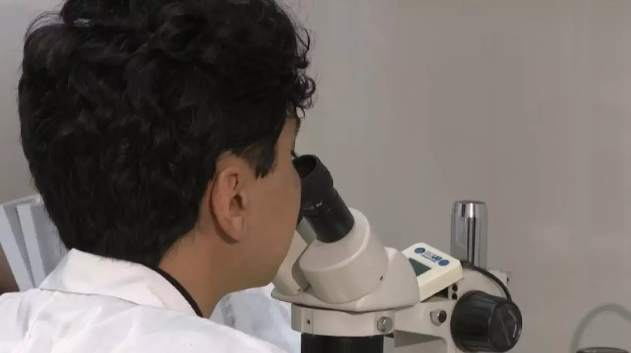 В Академии наук обсудили научные основы системной модернизации Конституции