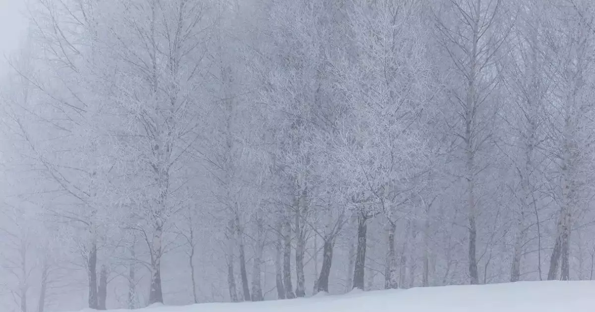  7 ақпанға арналған ауа райы болжамы жарияланды 