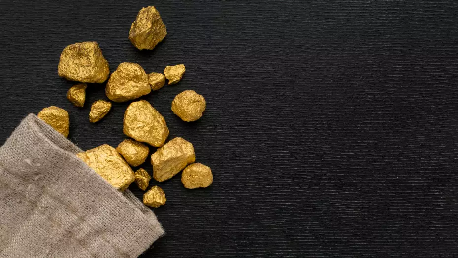 Түркістан облысында 12 адам 451 грамм алтынды заңсыз өндірген
