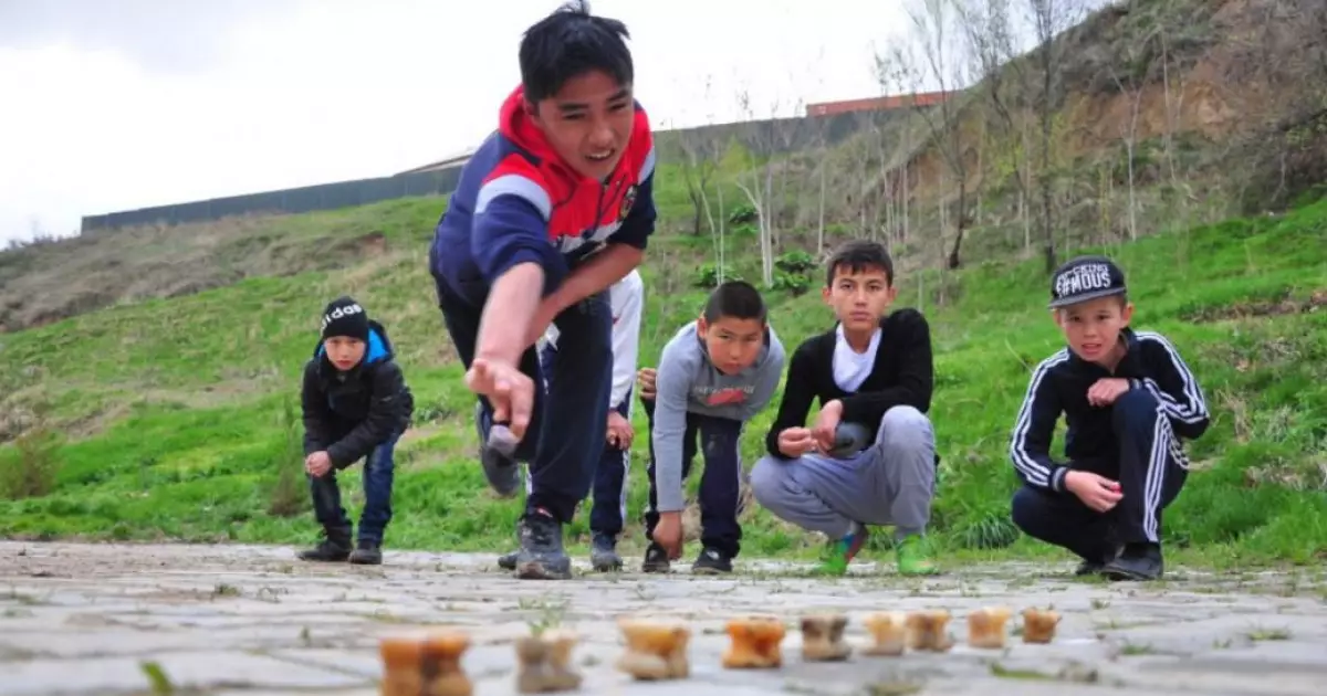   Балалық шақтың баянды бағдарламасы   