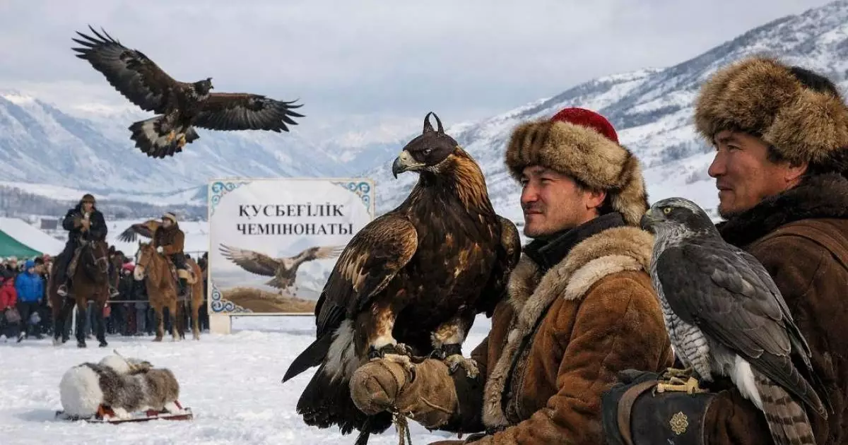  ШҚО-да құсбегіліктен чемпионат өтіп жатыр 