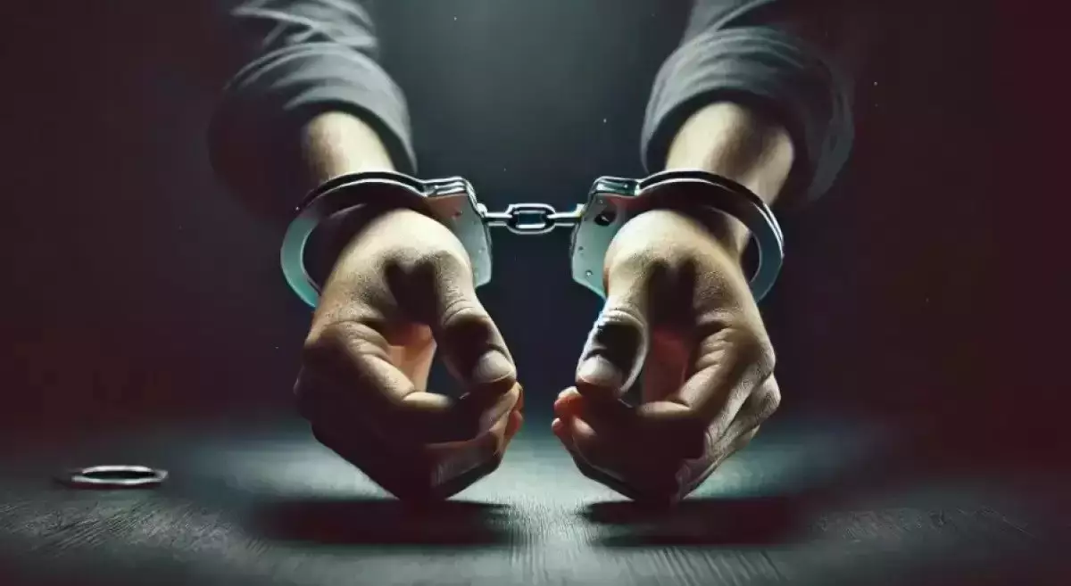 Шетел азаматы Қазақстан аумағында қылмыстық топ құрып, 125 млн теңге залал келтірген