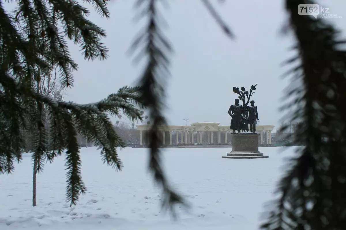 Погода в Петропавловске с 9 по 15 февраля 2026 года