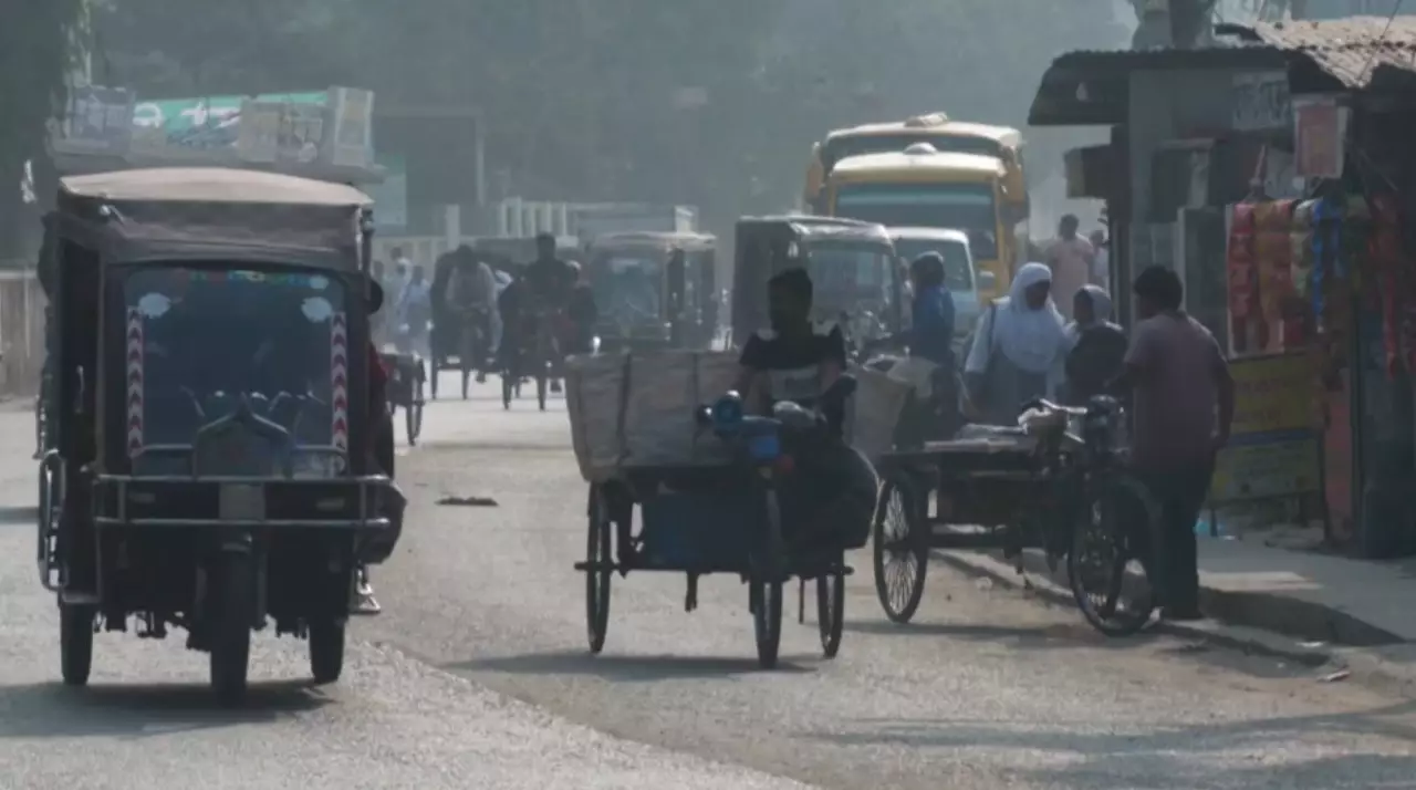 Бангладеште Нипах вирусынан бір адам көз жұмды