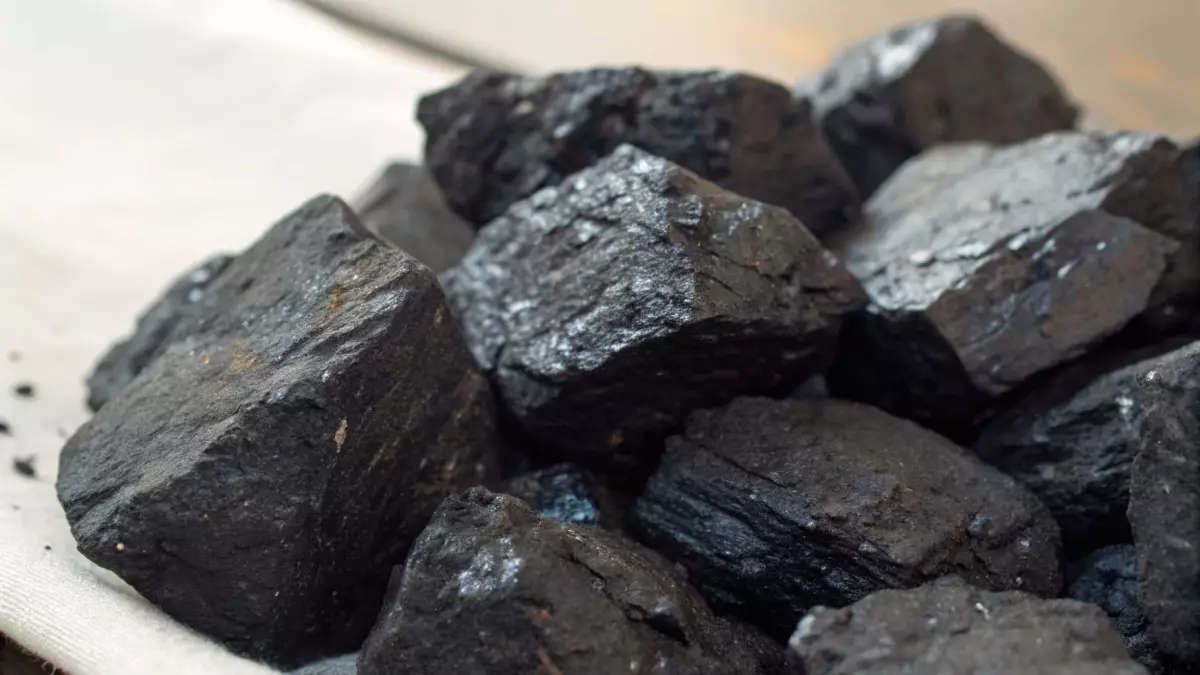 Ученые разработали биоуголь для очистки окружающей среды