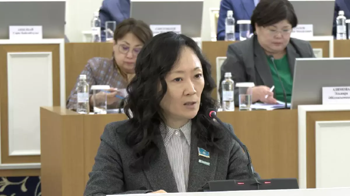 «Волонтерлік» ұғымын Конституцияда бекіту ұсынылды