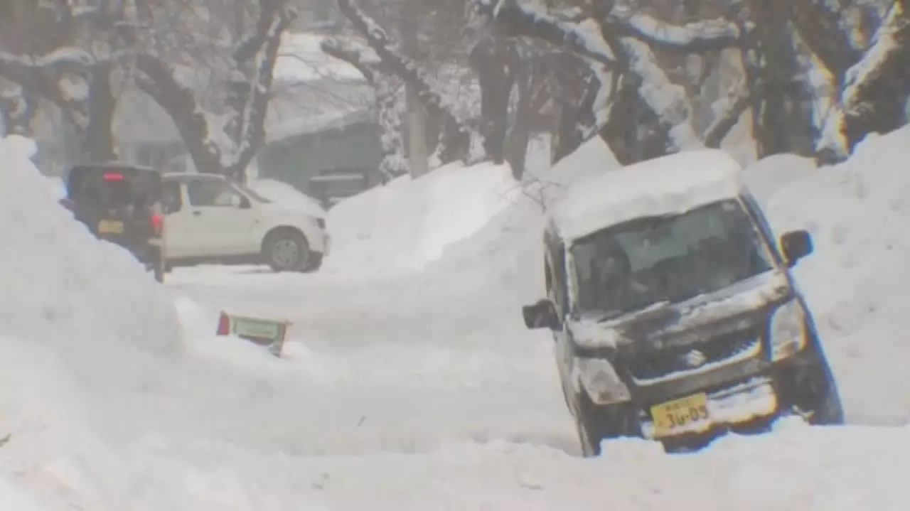 Количество жертв снегопадов в Японии достигло 45