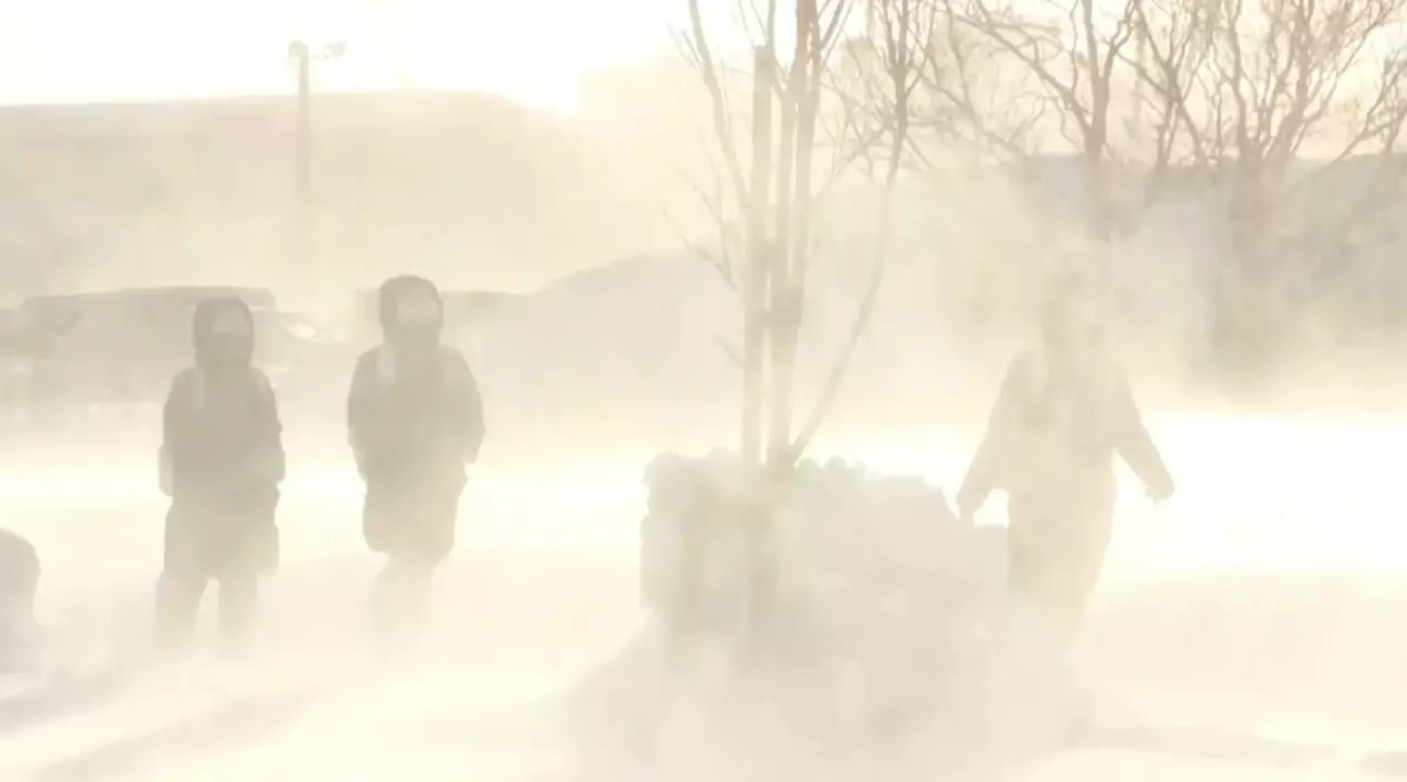 Жапонияда қарлы бораннан көз жұмғандар саны 45-ке жетті