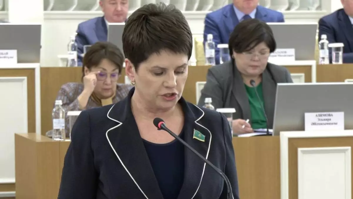 Конституциялық комиссияда жаңа Ата заңды бүкілхалықтық референдумға шығару ұсынылды