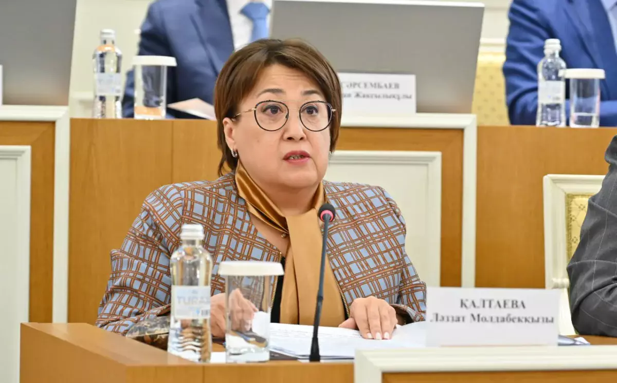 Перевести текст новой Конституции РК в инклюзивные форматы предложили на Конституционной комиссии