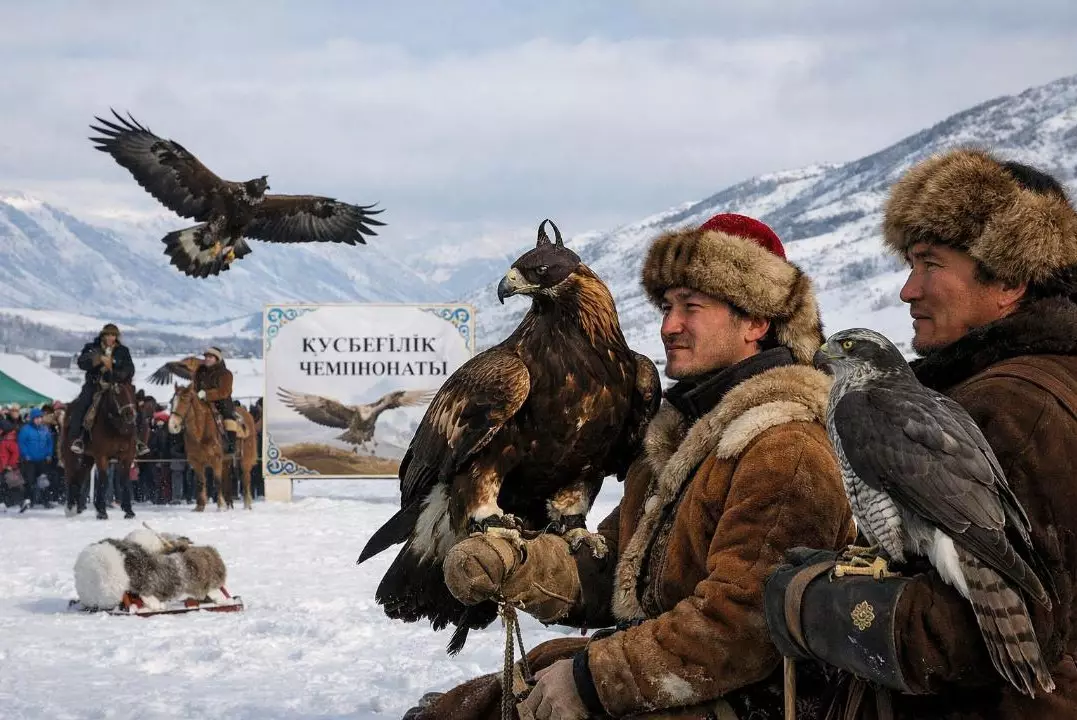 Около 30 сильнейших беркутчи страны собрались на чемпионате в ВКО