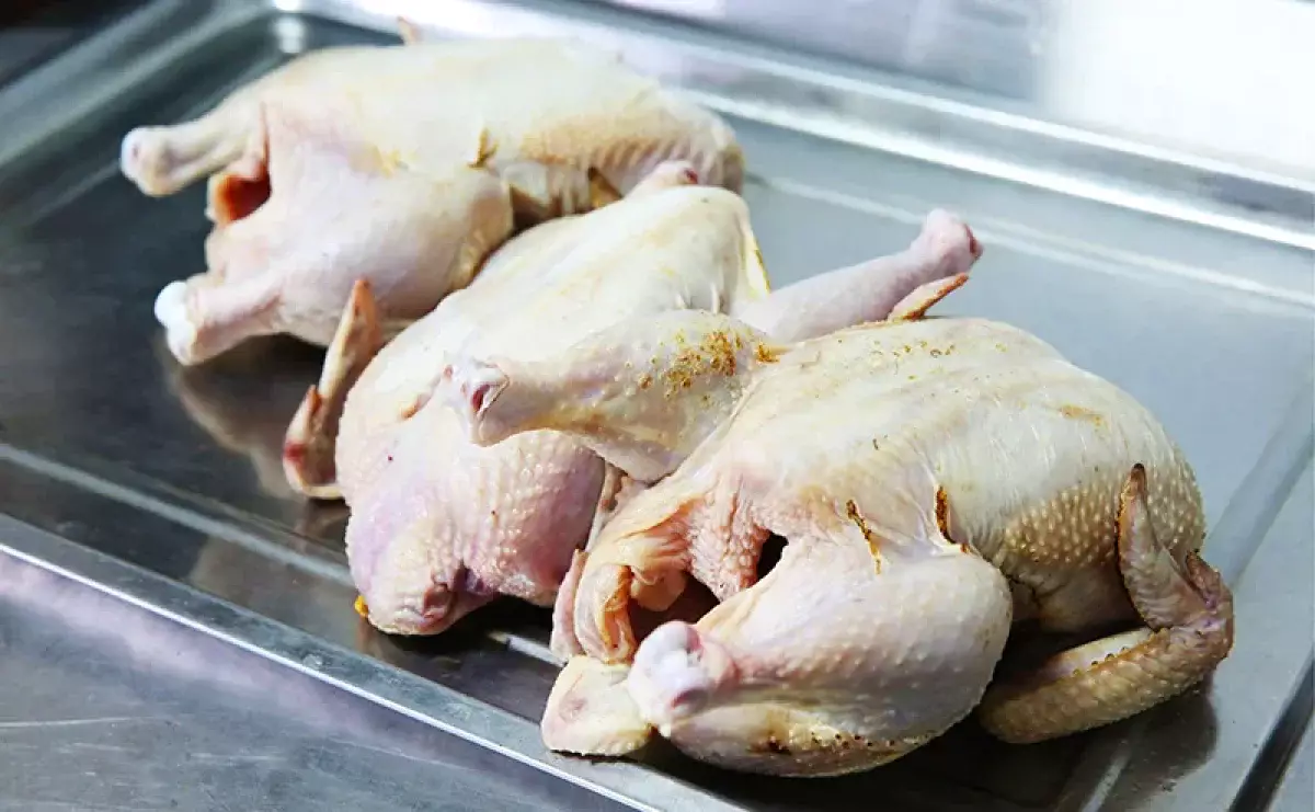 «Ұлдардың кеудесі өсіп, қыздар ерте жетіледі»: маман тауық етінің зиянын айтып дабыл көтерді